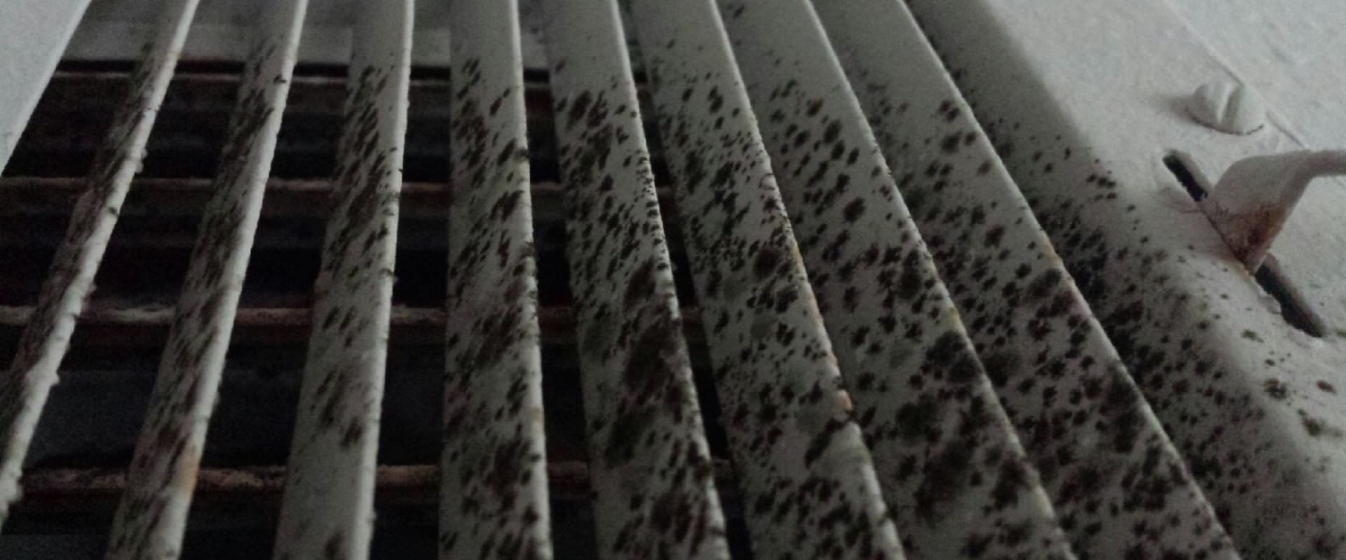 The Hidden Dangers of Mold in Your Air Vents