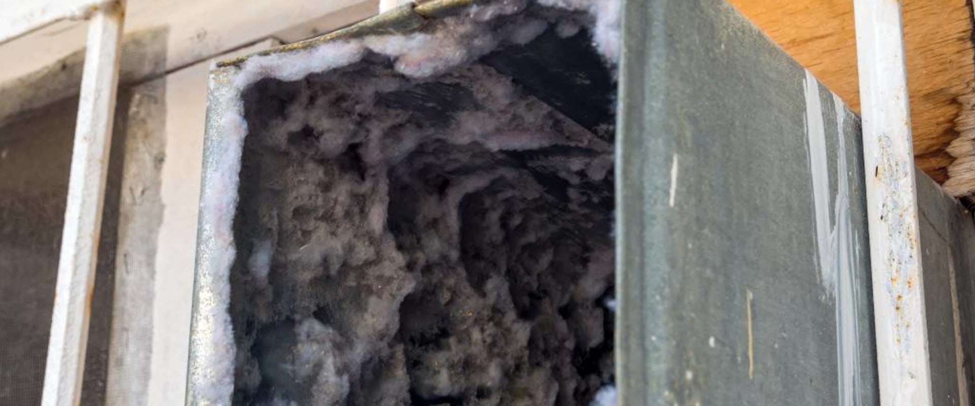 The Hidden Dangers of Black Mold in Your Air Ducts