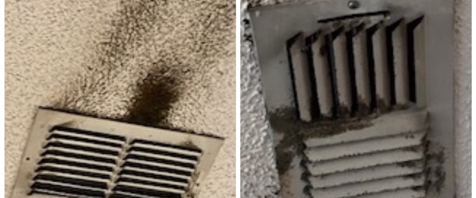 The Dangers of Mold in Your HVAC System and How to Deal with It