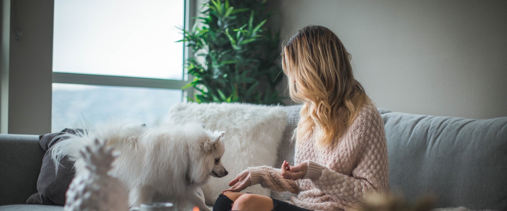 Top Tips for Using the 16x20x1 Home Furnace Air Filter to Improve Ventilation and Air Flow