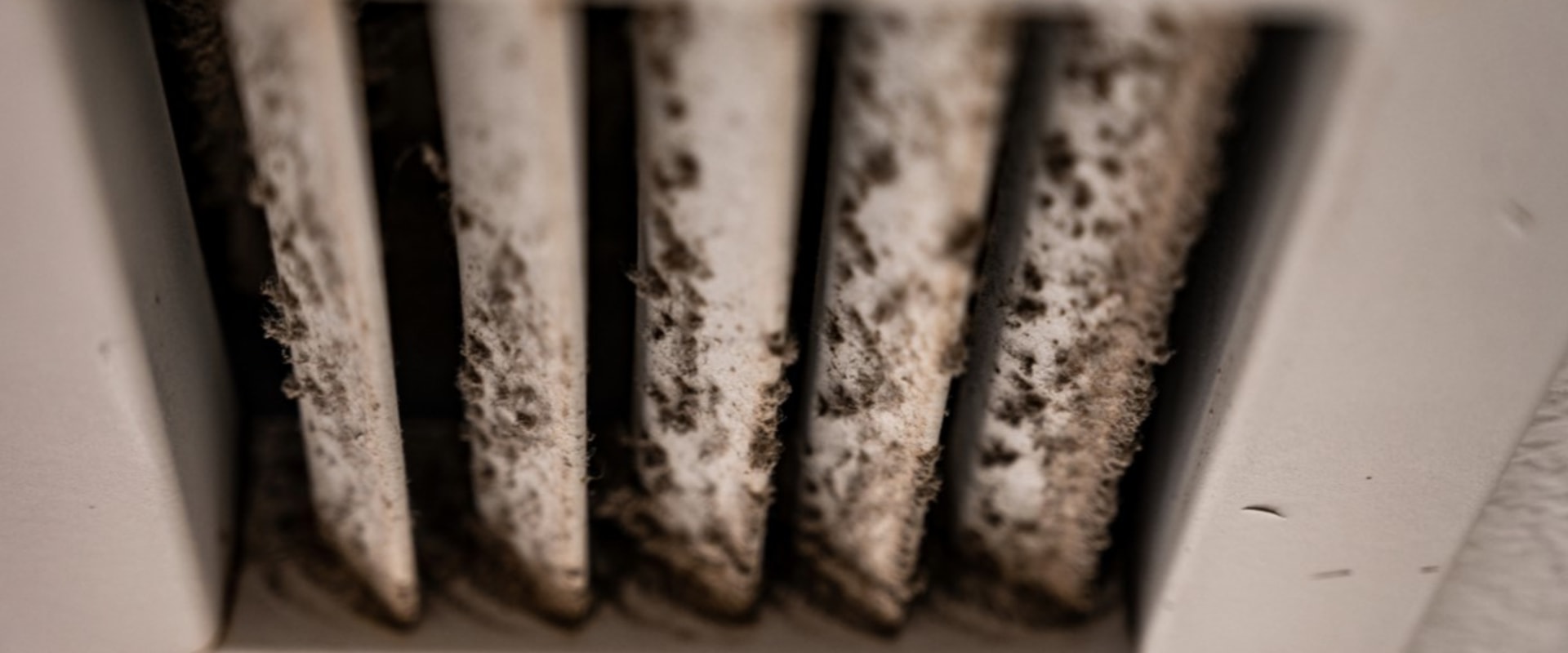 The Hidden Dangers of Mold in Air Vents