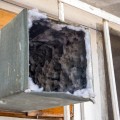 The Hidden Dangers of Black Mold in Your Air Ducts