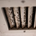 The Hidden Dangers of Mold in Air Vents