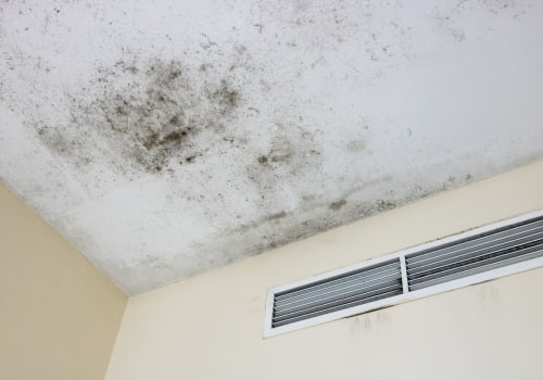 Expert Tips for Effective Mold Removal