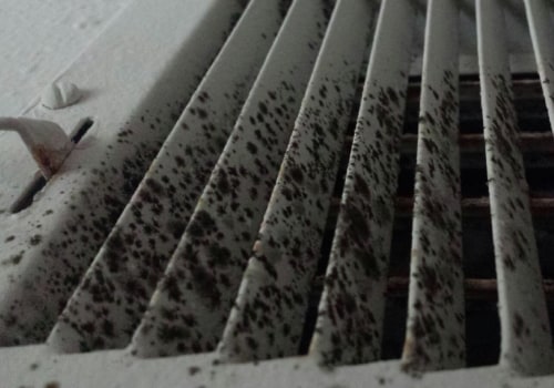 The Hidden Dangers of Mold in Your Air Vents