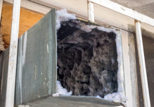 The Hidden Dangers of Black Mold in Your Air Ducts