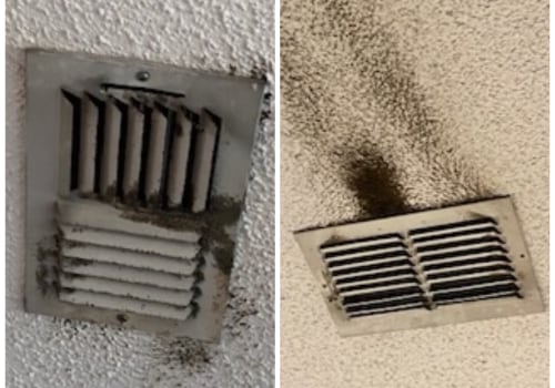 The Dangers of Mold in Your HVAC System and How to Deal with It